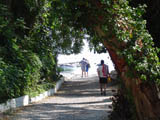 Path To Beach